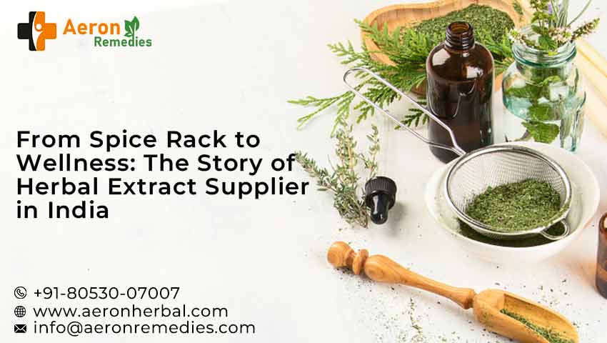 Best Herbal Extract Supplier in India
