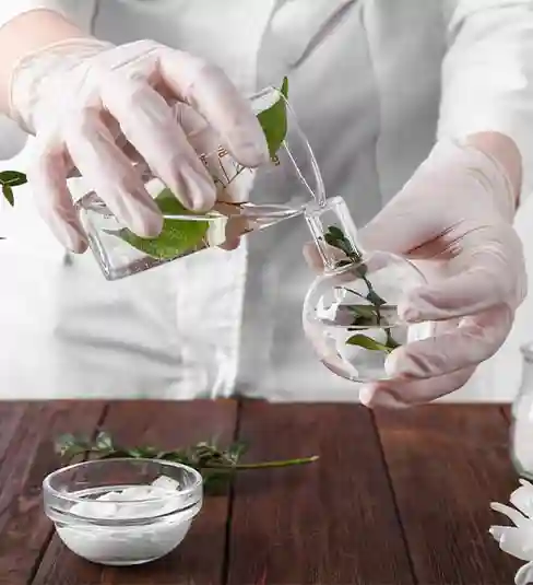 Herbal Extract Manufacturer in India
