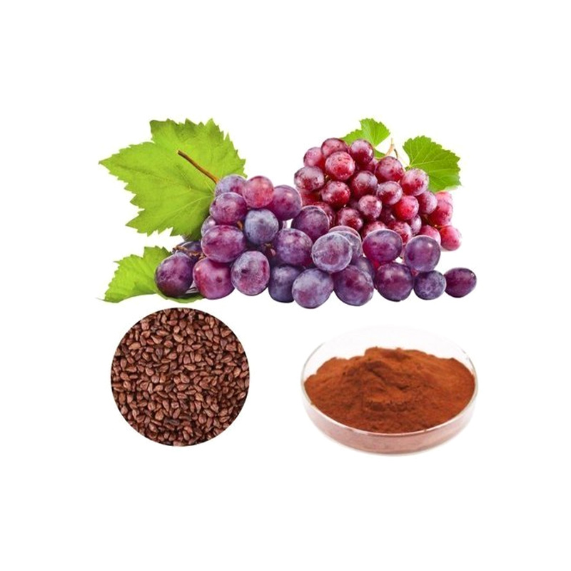 Grape Seed Extract