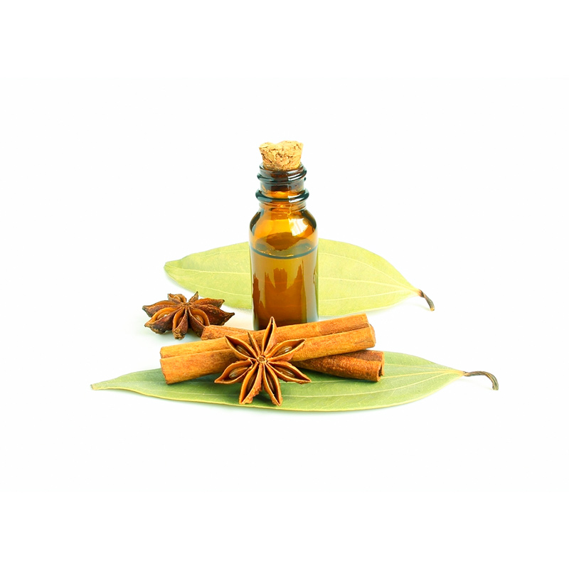 Cinnamomum Tamala Dalchini