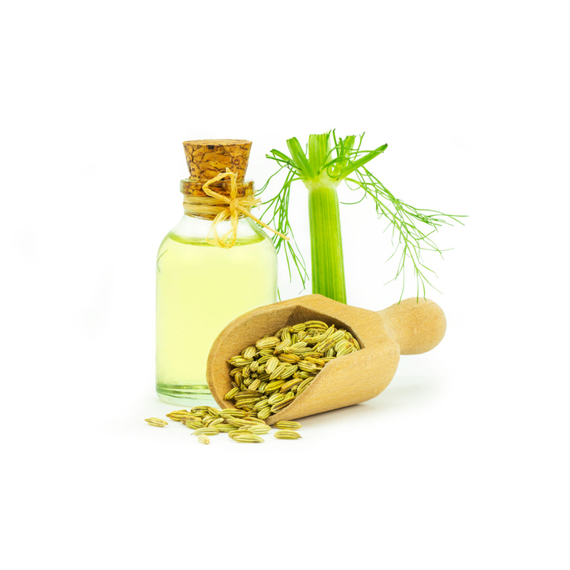 Foeniculum Vulgare (Saunf) Oil Extract