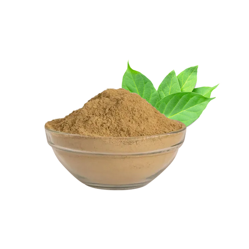 Gymnemma 25% by HPLC