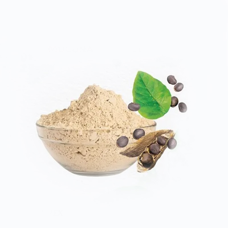 Mucuna Extract